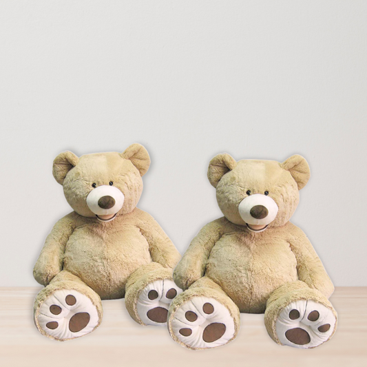 Giant Teddy Accessory
