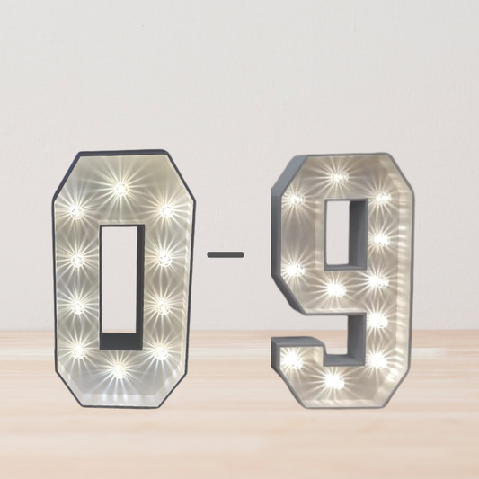 4ft White LED numbers 0-9